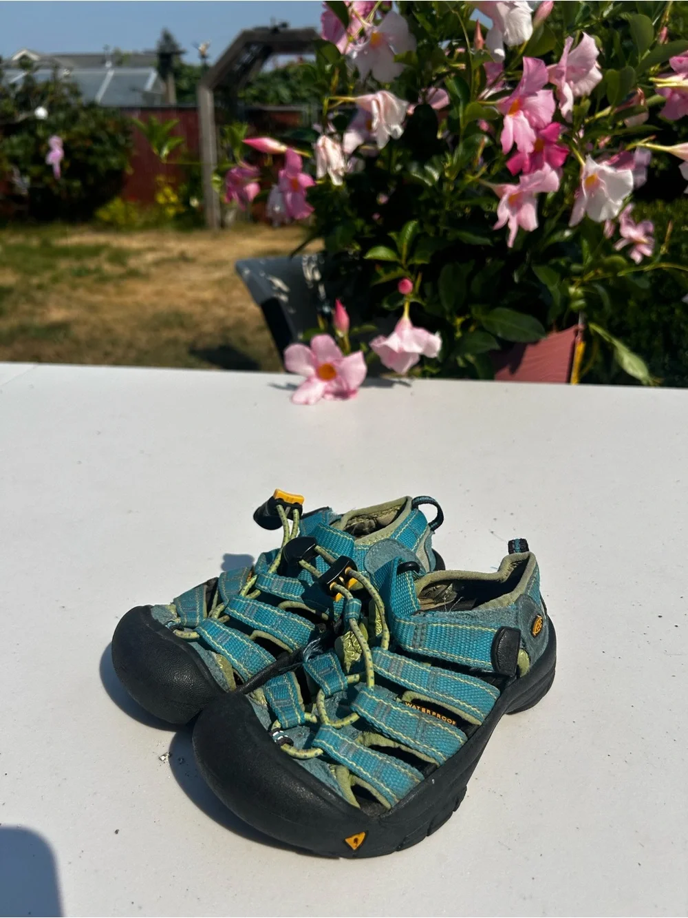 KEEN Kids Toddler Boy’s Teal Multi Outdoor water shoes Sandals Size 10C